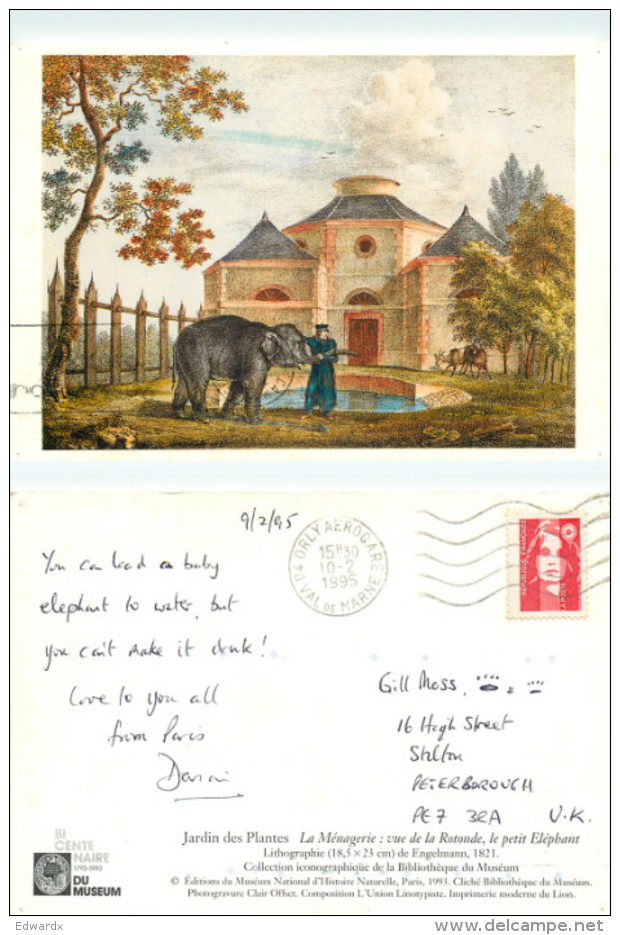 Jardin Des Plantes, Paris, Art Painting Postcard Posted 1995 Stamp - Schilderijen