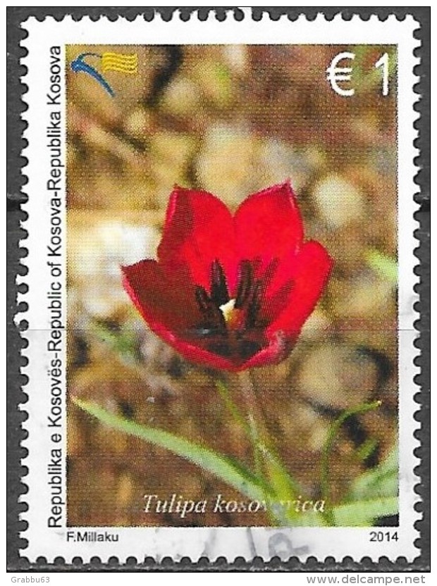 Kosovo - Flore - Y&T N° 164  - Oblitéré - Kosovo