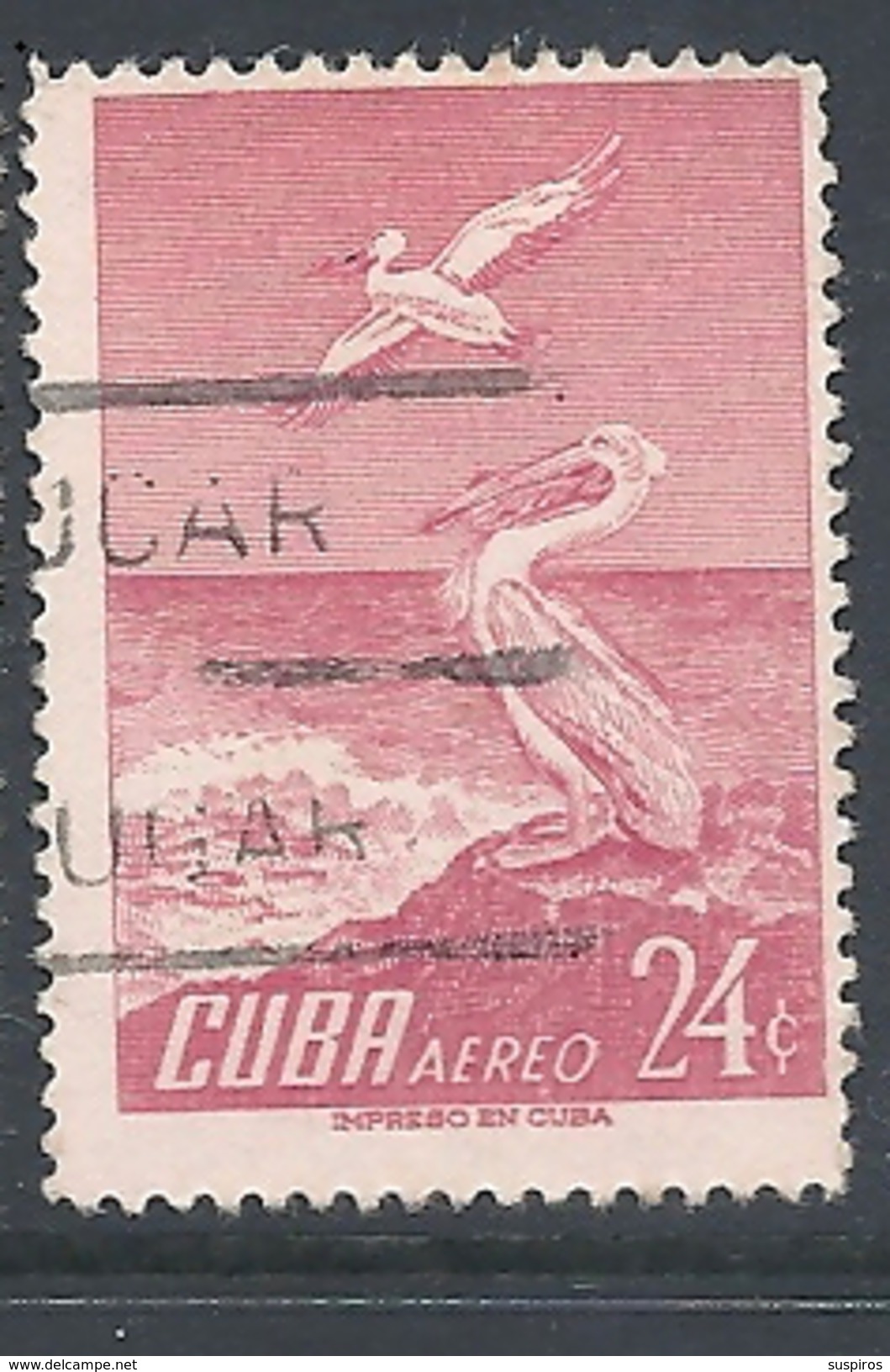 CUBA      1956 Airmail - Birds      AIRMAIL     USED   Pelecanus Erythrorhynchos - Gebraucht
