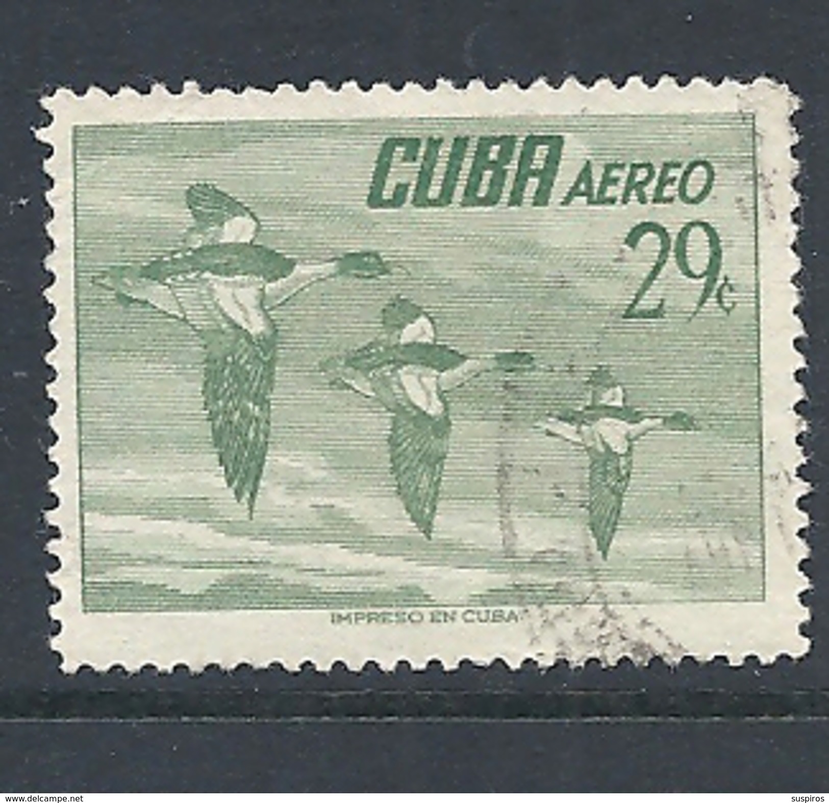 CUBA      1956 Airmail - Birds      AIRMAIL     USED   Mergus Merganser Americanus - Gebraucht