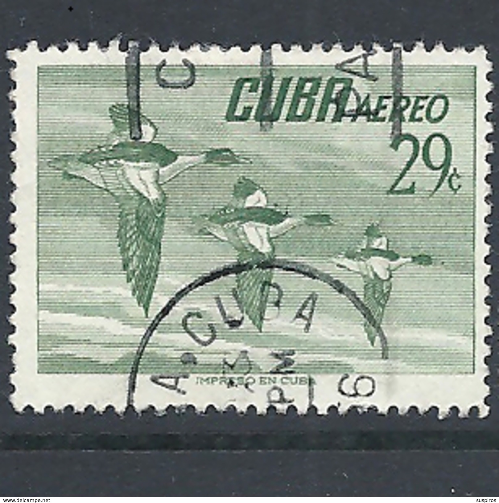 CUBA      1956 Airmail - Birds      AIRMAIL     USED   Mergus Merganser Americanus - Gebraucht