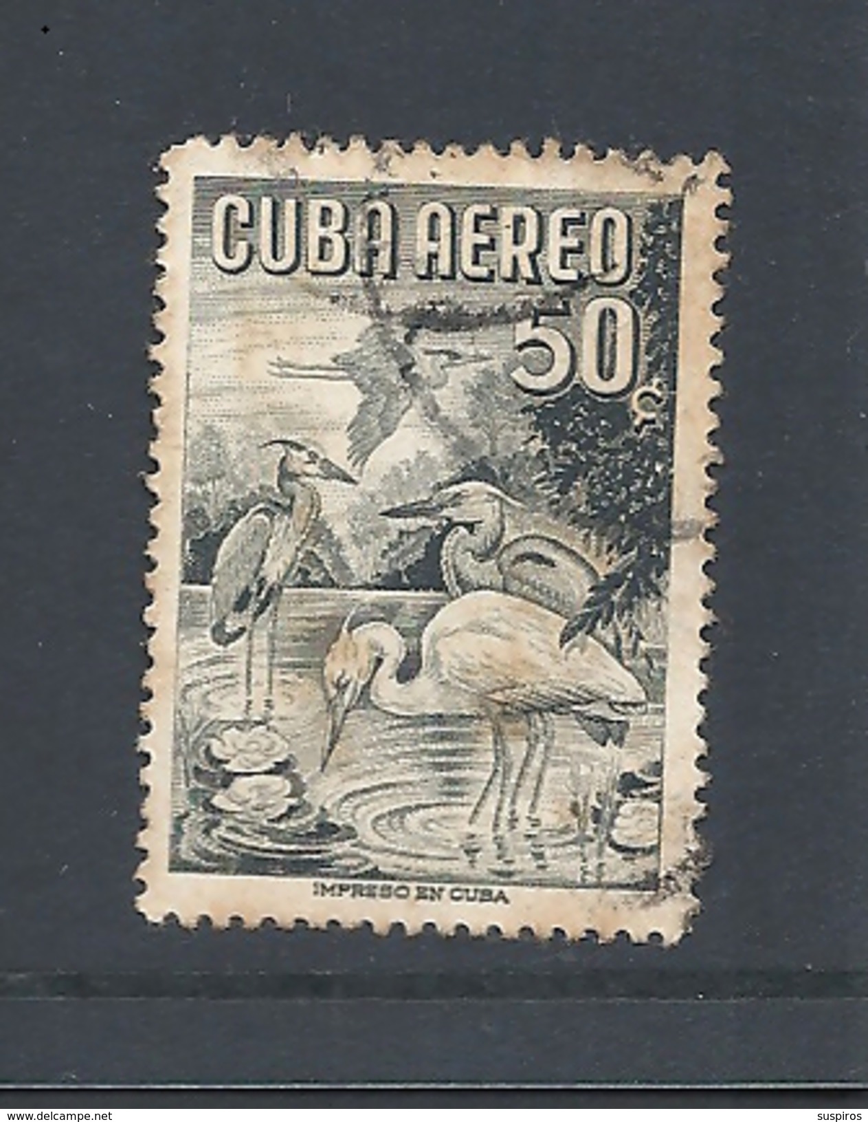 CUBA      1956 Airmail - Birds      AIRMAIL     USED   Ardea Herodia - Gebraucht