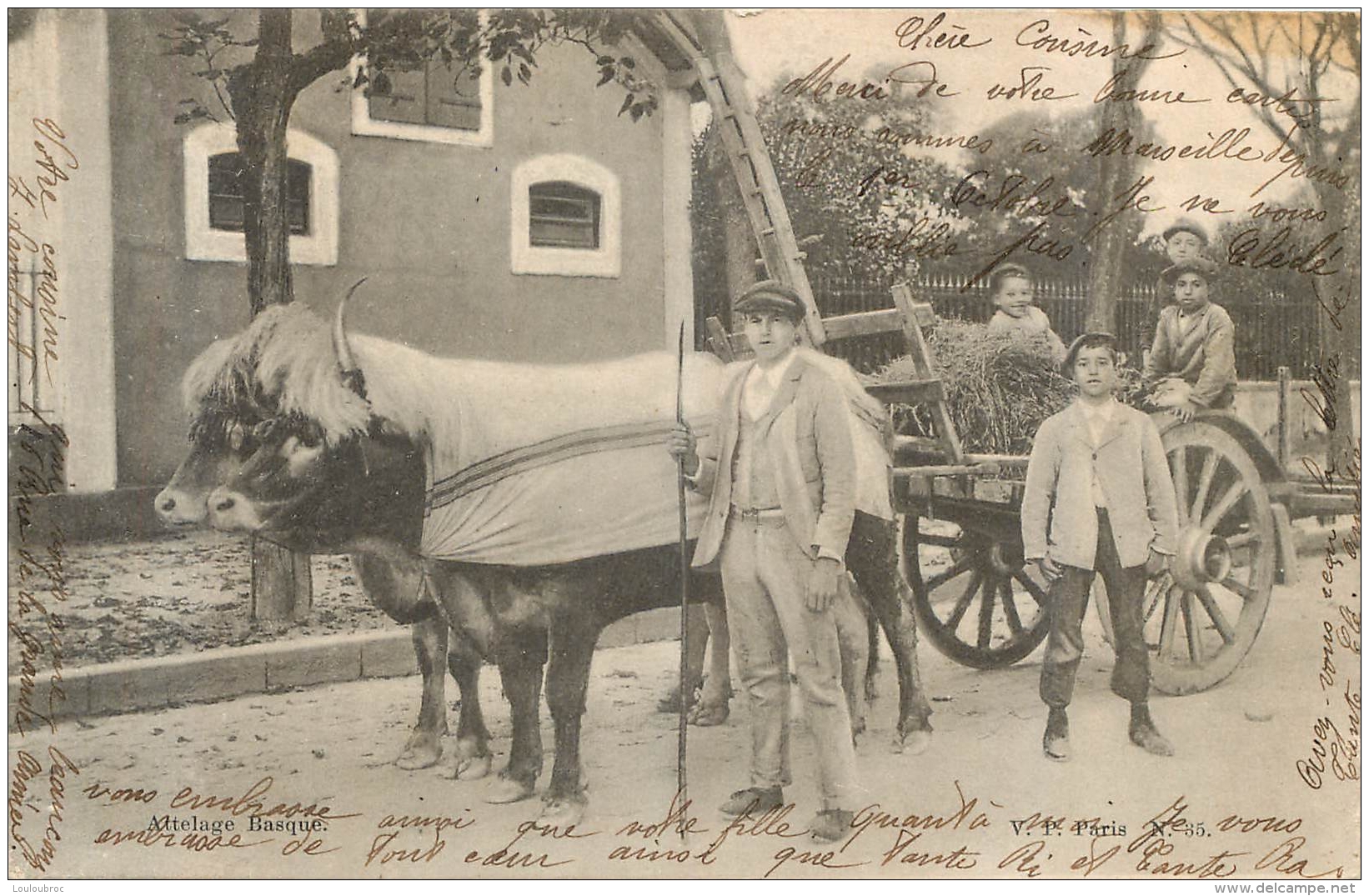 ATTELAGE BASQUE  1904 - Autres & Non Classés