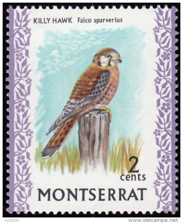 MONTSERRAT - Scott #232 Falco Sparverius (*) / Mint NH Stamp - Montserrat