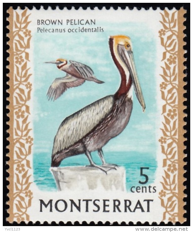 MONTSERRAT - Scott #235a Pelecanus Occidentalis / Mint NH Stamp - Montserrat