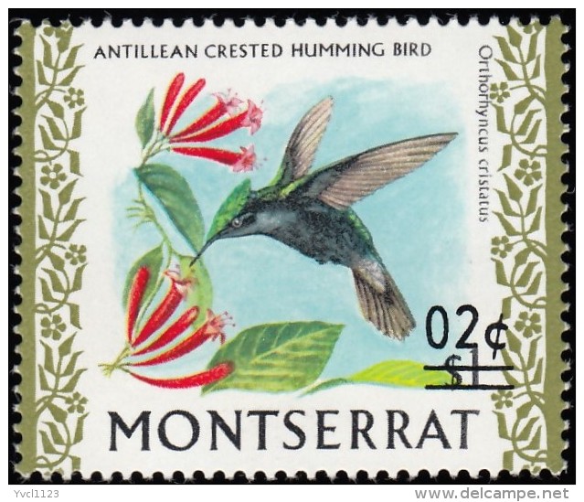 MONTSERRAT - Scott #314 Orthorhynchus Cristatus 'Surcharged' / Mint NH Stamp - Montserrat