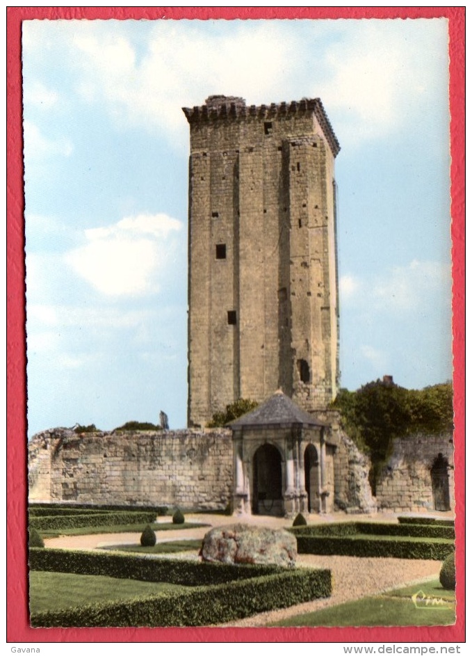 37 LE GRAND-PRESSIGNY - L'ancien Chateau - Musée Préhistorique - Le Donjon - Le Grand-Pressigny