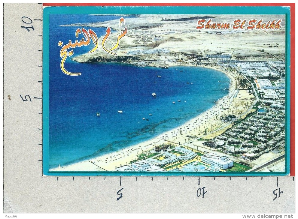 CARTOLINA VG EGITTO - SHARM EL SHEICH - Panorama - Spiaggia - 11 X 16 - ANN. 19?? - Sharm El Sheikh