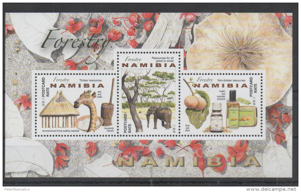 NAMIBIA , 2016, MNH, FORESTRY, ELEPHANTS, GIRAFFES, FRUIT, COSMETICS, SHEETLET - Elefanten