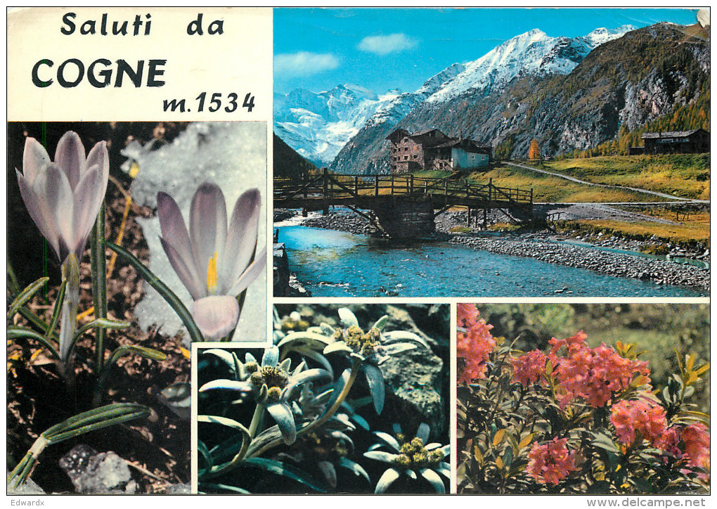 Cogne, Val D'Aosta , Italy Postcard Posted 1970 Stamp - Aosta