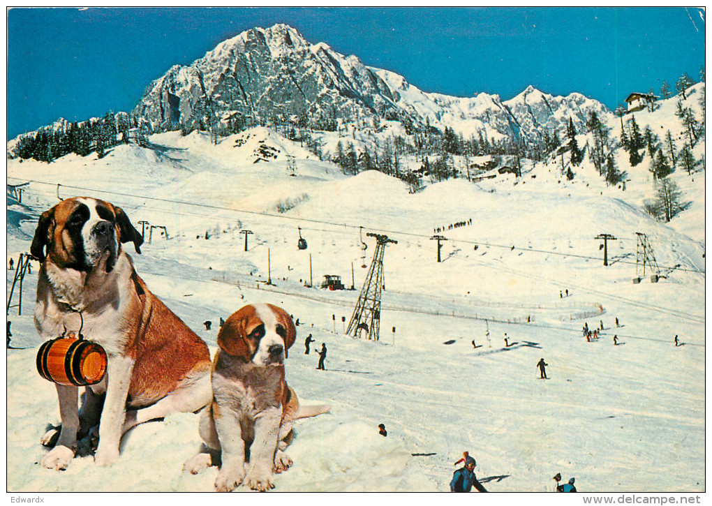 Ski Lift, Courmayeur, Val D'Aosta , Italy Postcard Posted 1980 Stamp + Postage Due Markings - Aosta
