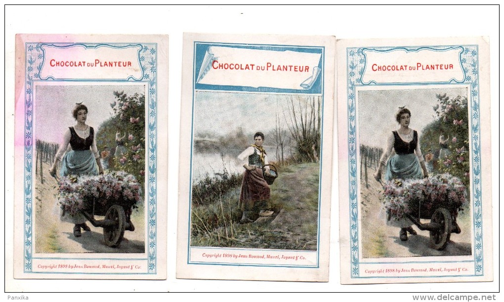 Chocolat Du Planteur. Jeune Femme.brouette Fleurs. Calendrier 1899. - Otros & Sin Clasificación