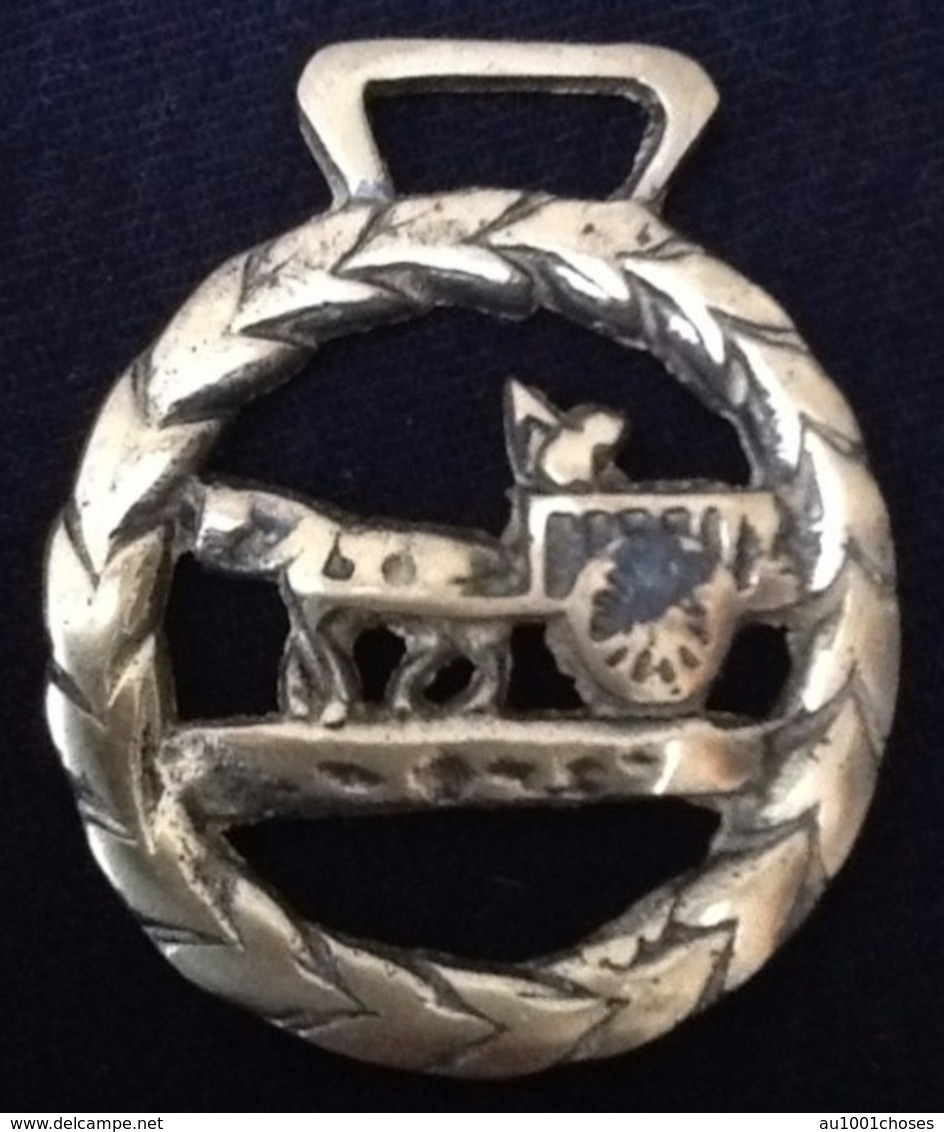 Horse Brass Décoration Pour Harnais De Cheval - Equitation