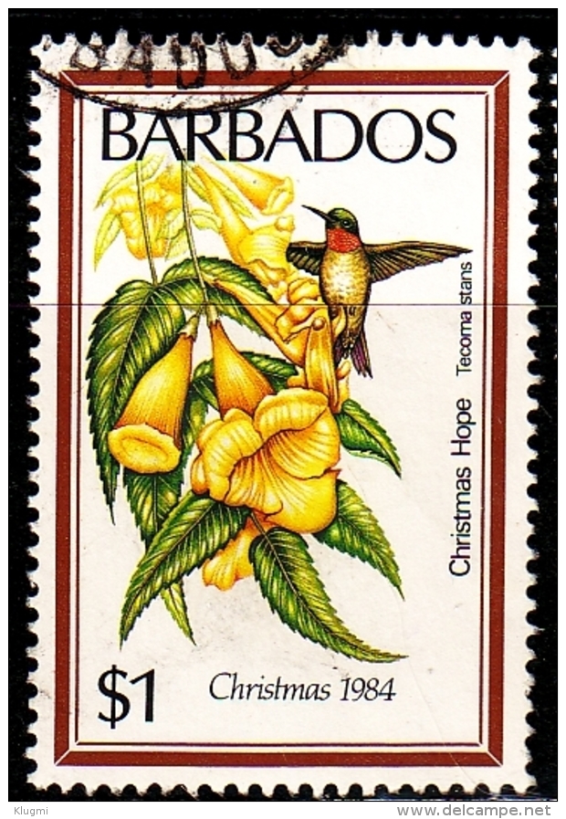 BARBADOS [1984] MiNr 0616 ( O/used ) Pflanzen - Barbados (1966-...)