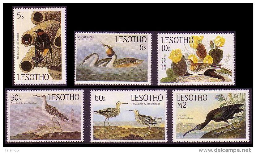 Lesotho Birds Audubon 6v SG#646/51 SC#481-86 - Lesotho (1966-...)