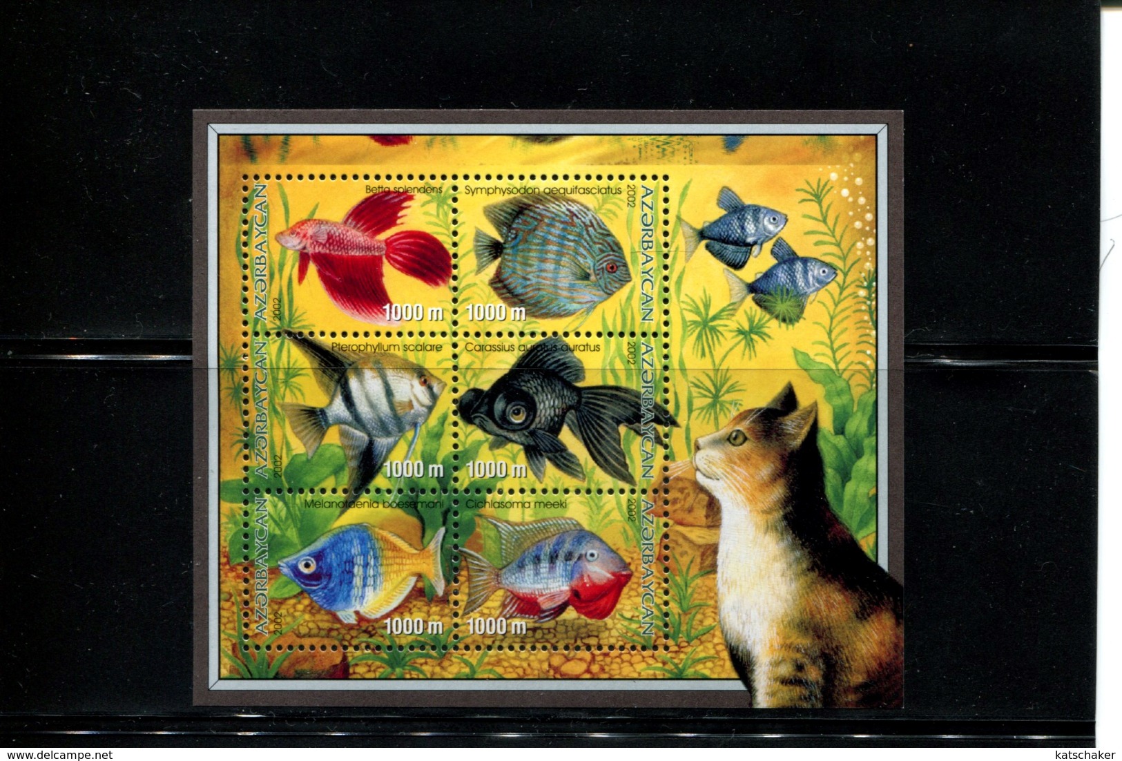 405359815 AZERBEIDZJAN DB 2003 POSTFRIS MINT NEVER HINGED POSTFRISCH EINWANDFREI  YVERT 453 458 FAUNA VISSEN KAT FELINS - Azerbaïdjan