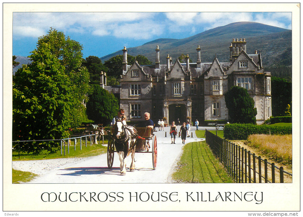 Muckross House, Killarney, Kerry, Ireland Postcard Unposted - Kerry