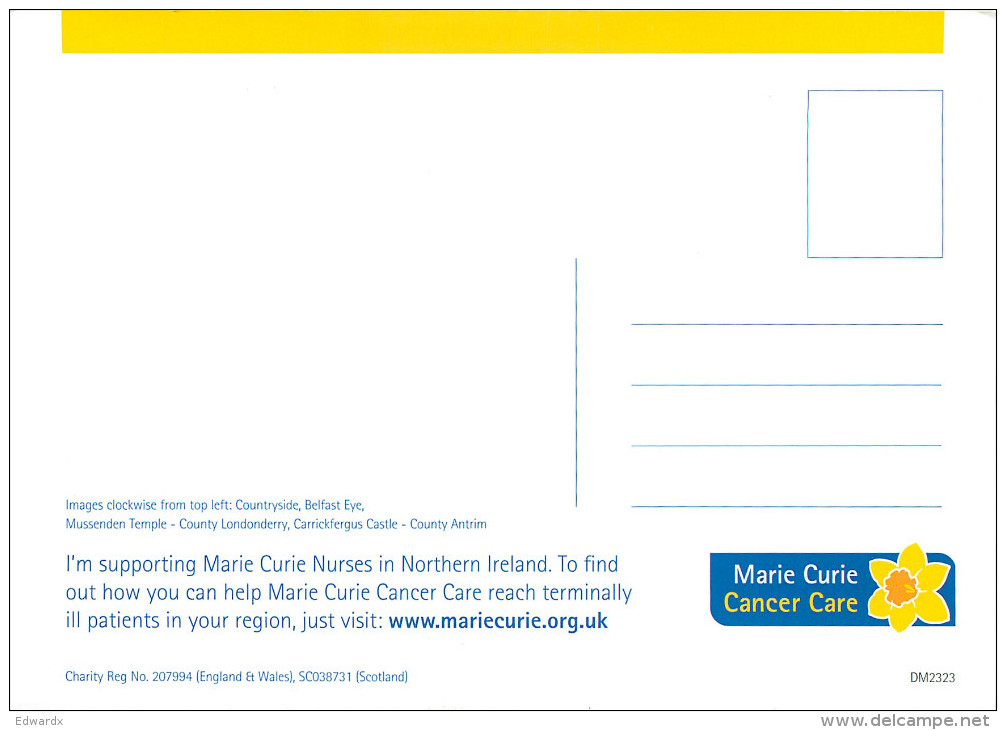 Multiview, Northern Ireland Postcard Unposted - Autres & Non Classés