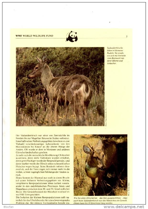 Wildtiere WWF-Set 20 Chile 1066/9 FDC 14€ Chinchilla Wal Hirsch Naturschutz Dokumentation 1984 Wildlife Cover Of America - Brieven En Documenten
