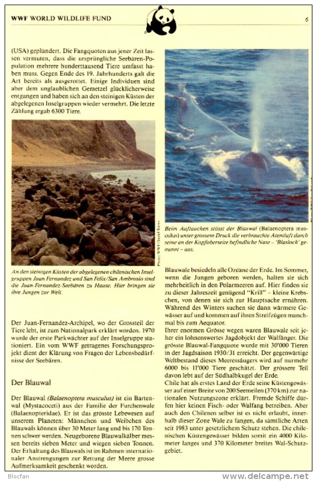 Wildtiere WWF-Set 20 Chile 1066/9 FDC 14€ Chinchilla Wal Hirsch Naturschutz Dokumentation 1984 Wildlife Cover Of America - Brieven En Documenten