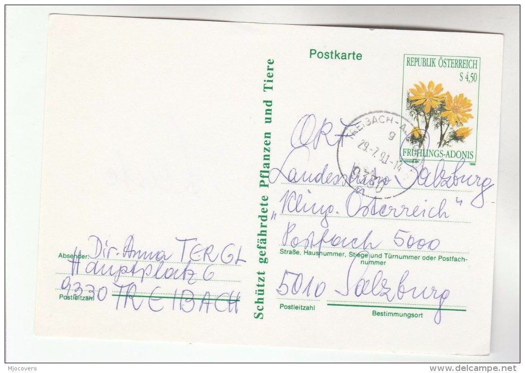 1991 Teeibach AUSTRIA 4.50s FLOWER Postal STATIONERY CARD Stamps Cpover Flowers - Other & Unclassified