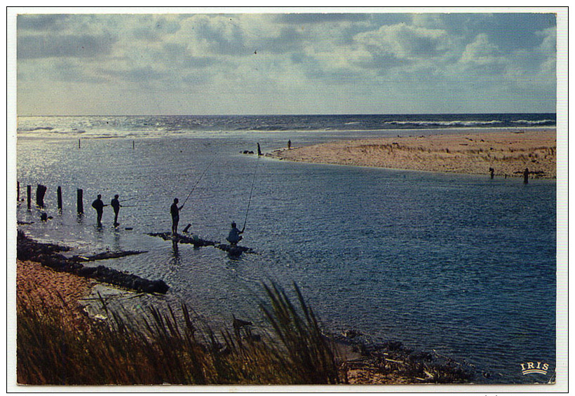 MOLIETS ET MAA La Plage Et La Sortie Du Courant D´Huchet, Datée 1972 - Autres & Non Classés