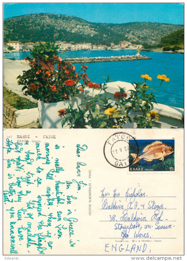 Gaios, Paxos, Greece Postcard Posted 1982 Stamp - Greece