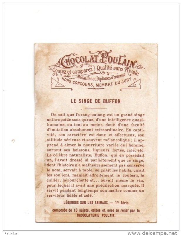 Chocolat Poulain. Le Singe De Buffon. - Poulain