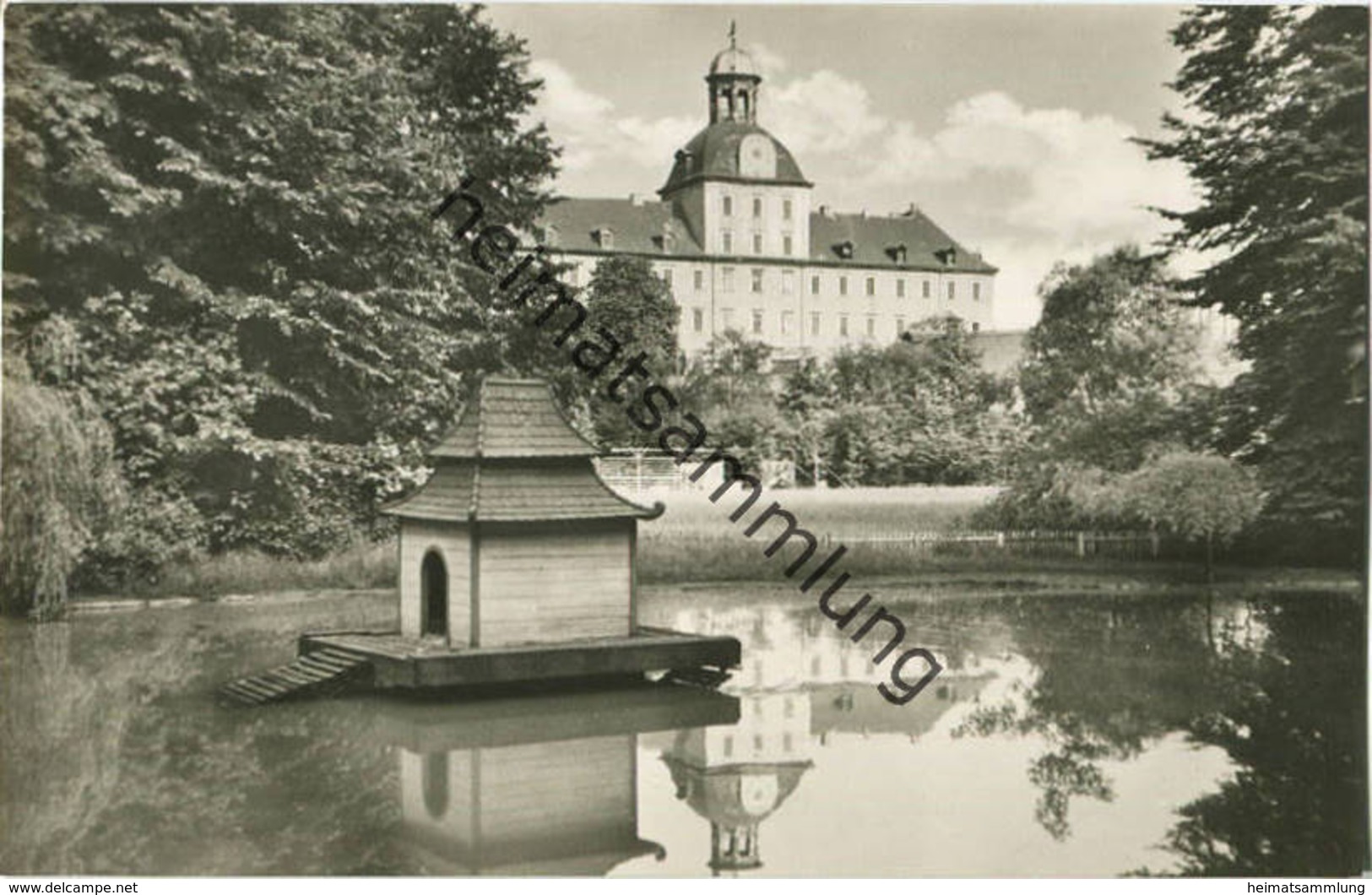 Zeitz - Blick Vom Kulturpark Zur Moritzburg - Foto-AK 60er Jahre - Verlag VEB Bild Und Heimat Reichenbach - Zeitz
