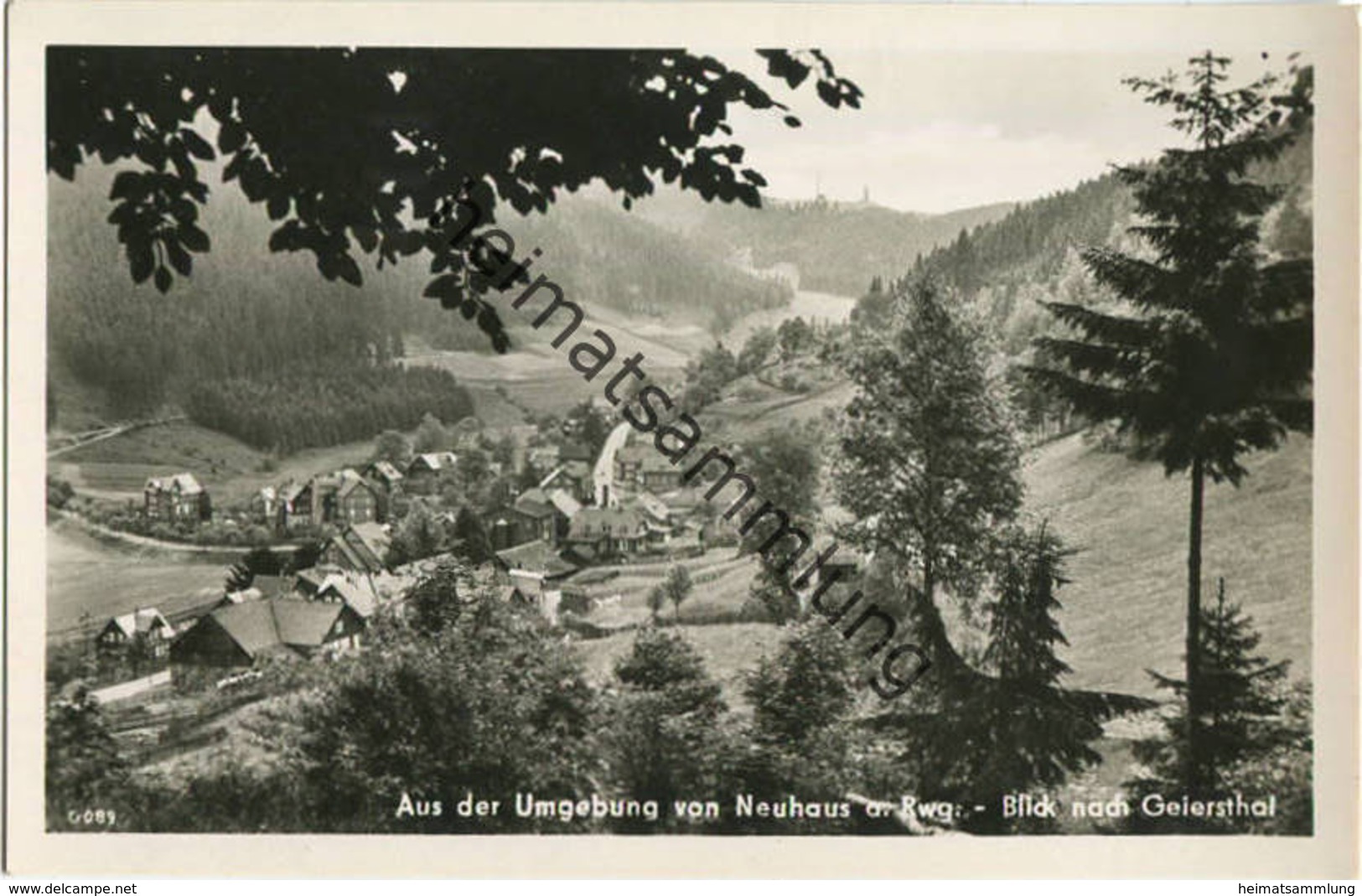 Blick Nach Geiersthal - Neuhaus Am Rwg - Foto-AK 1960 - Verlag Richard Zieschank Rudolstadt - Neuhaus