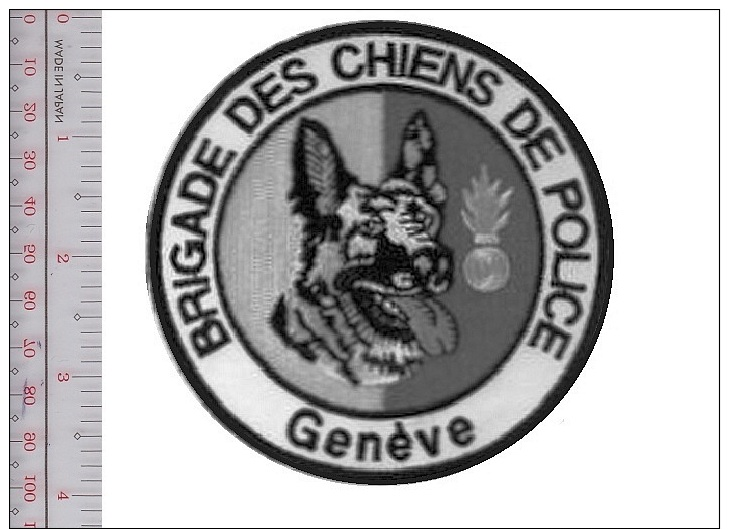 Suisse Police Comte De Geneve Brigade Canine Switzerland Geneva County Police K9 Canine Unit Patch VELCRO Tactical Grey - Police & Gendarmerie