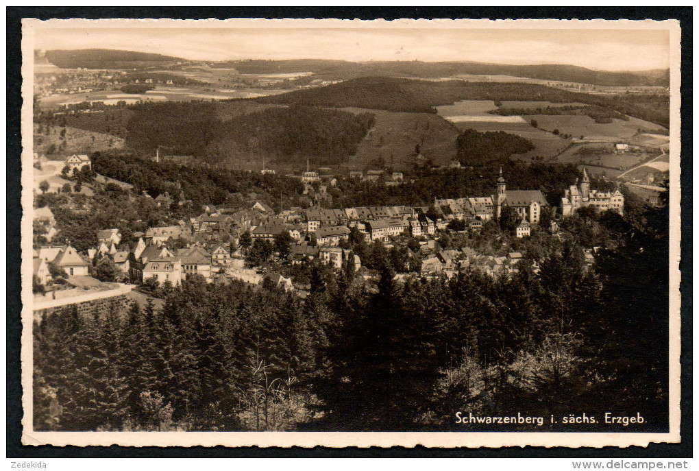 7299 - Alte Foto Ansichtskarte - Schwarzenberg - Vogel - N. Gel - Schwarzenberg (Erzgeb.)