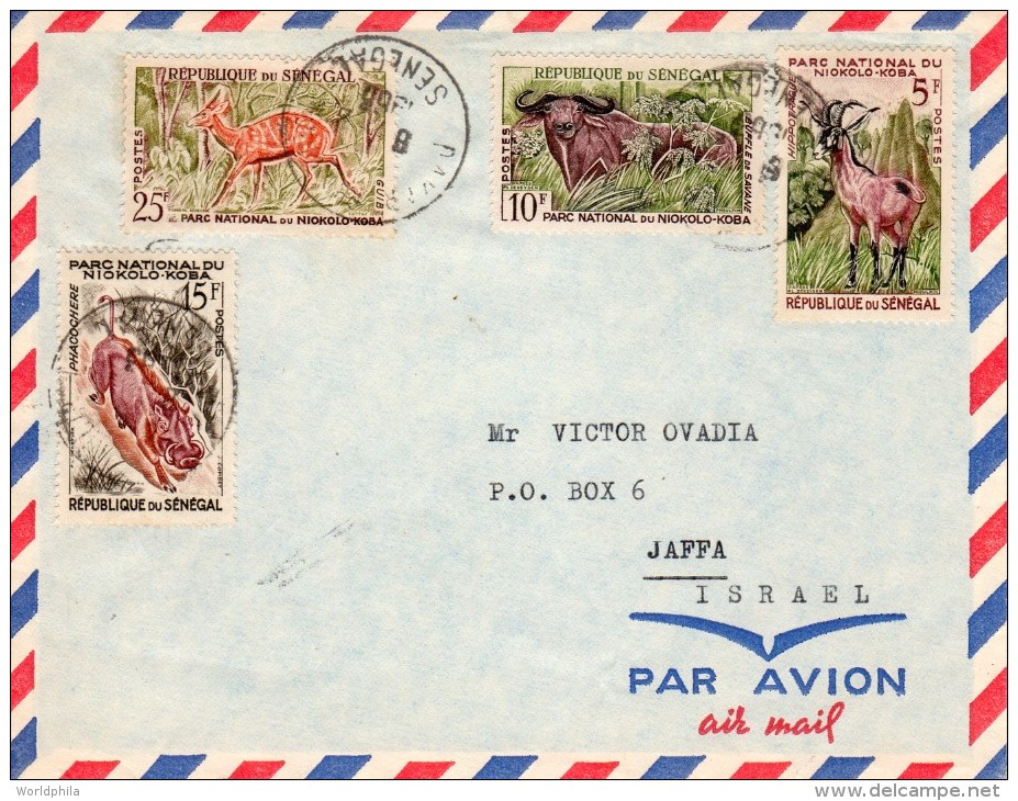 Senegal-Israel 1963 "National Park Animals" Mailed Cover 2 - Senegal (1960-...)