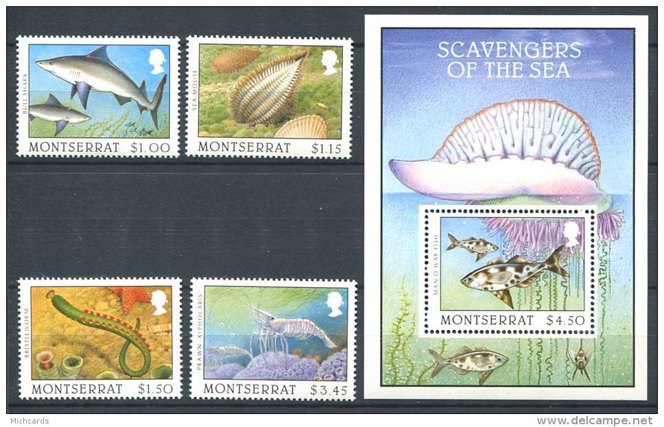 159 MONTSERRAT 1996 - Yvert 870/73 BF 68 - Requin Ver Marin Crevette - Neuf ** (MNH) Sans Trace De Charniere - Montserrat