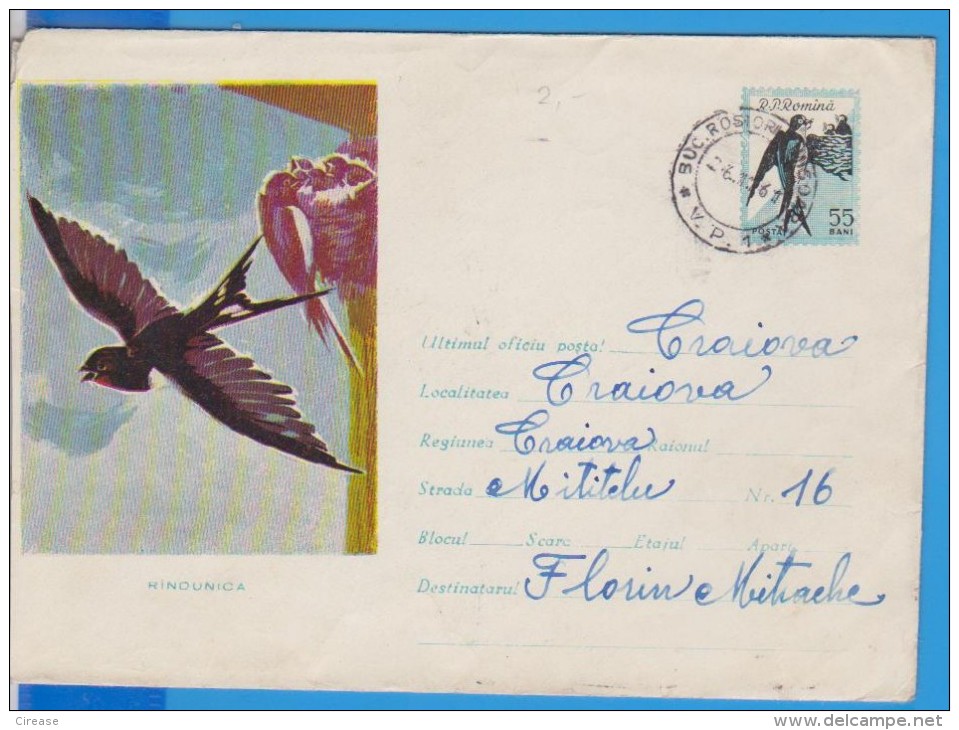 BIRD SWALLOW ROMANIA  GANZSACHE STATIONERY ENTIER 1961 - Zwaluwen