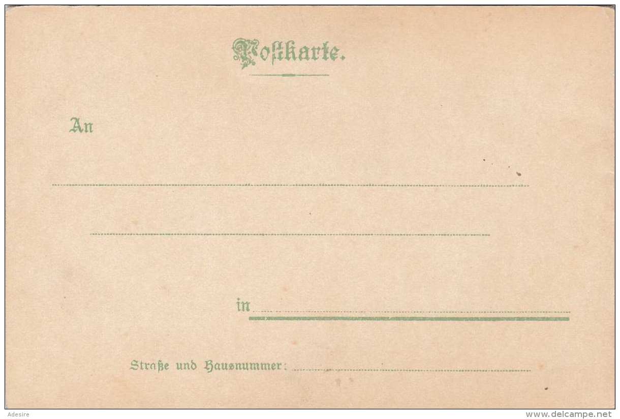 BLUMENSPRACHE Doppelkarte Vor 1900 - Fleurs