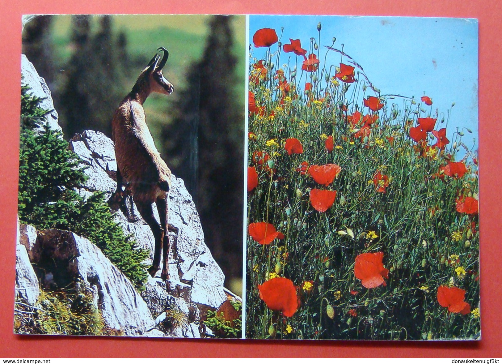 ALBANIA FLORA FAUNA COMMUNIST PERIOD - Albanien