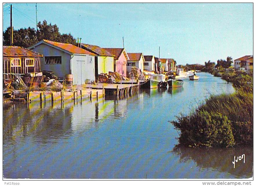 17 - ILE D'OLERON : Petit Lot De 3 CPSM-CPM GF - CPSM Dentelée Noir Blanc Colorisée GF - Charente Maritime - Ile D'Oléron