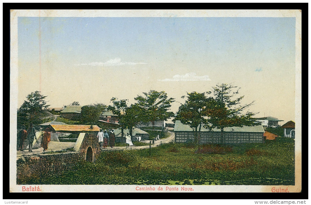 BAFATÁ -  Caminho Da Ponta Nova .   Carte Postale - Guinea Bissau