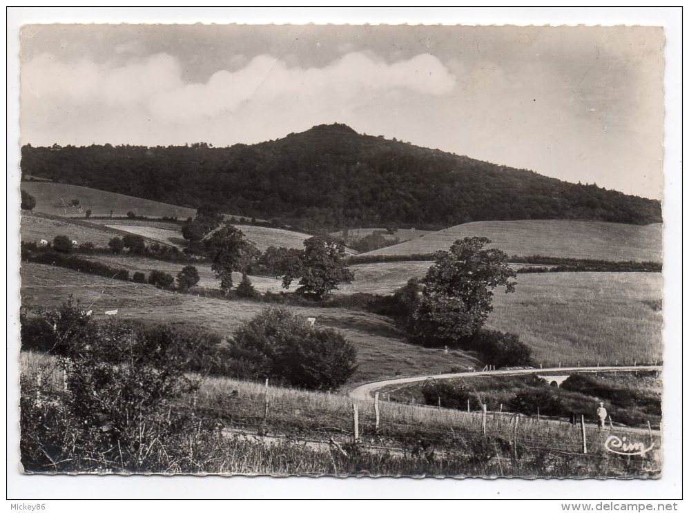St HONORE LES BAINS--1956-Chemin Du Désert-La Vieille Montagne- ,cpsm 15 X 10 N° 56  éd  La Combier - Saint-Honoré-les-Bains