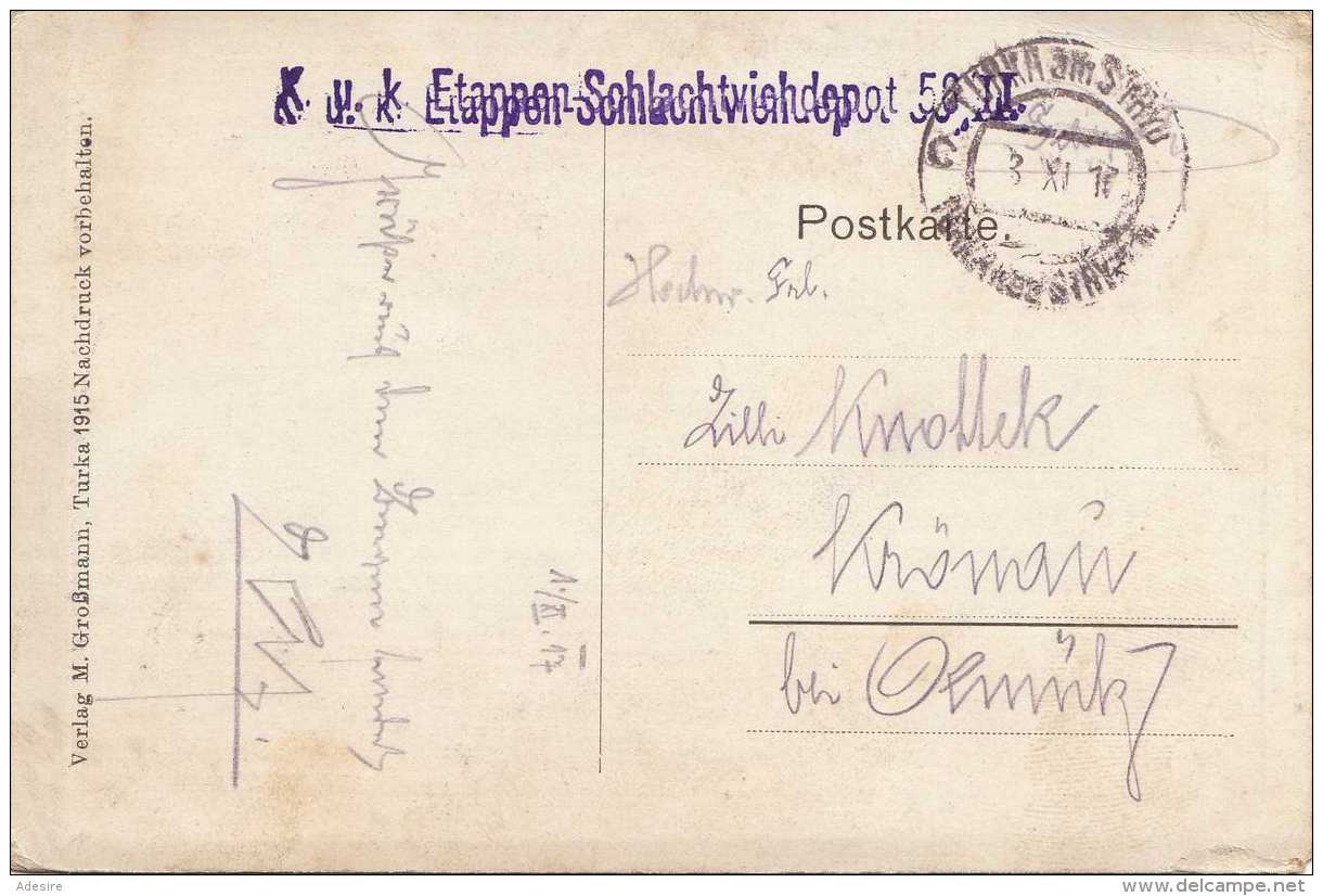 HAJASD (Ukraine) 1917 - Karpathen Des Uzsoker Passes, Sonderstempel K.u.k. Etappen-Schlachtviehdepot 58 II, Karte ... - Boehmen Und Maehren