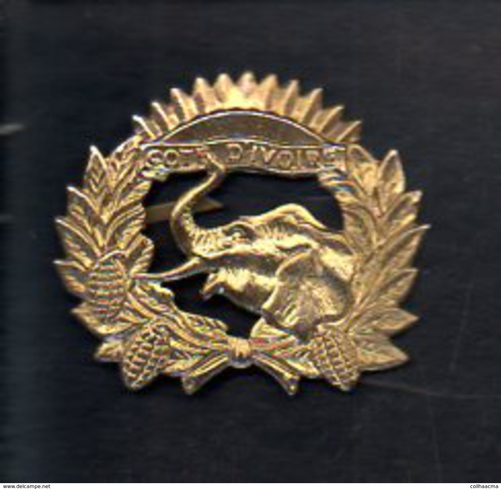 Insigne De Béret,casquette Ou Veste Armée De Cote D'Ivoire (Eléphant ) - Otros & Sin Clasificación