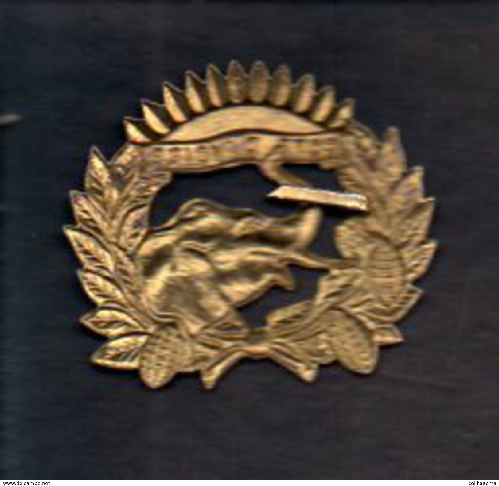 Insigne De Béret,casquette Ou Veste Armée De Cote D'Ivoire (Eléphant ) - Otros & Sin Clasificación