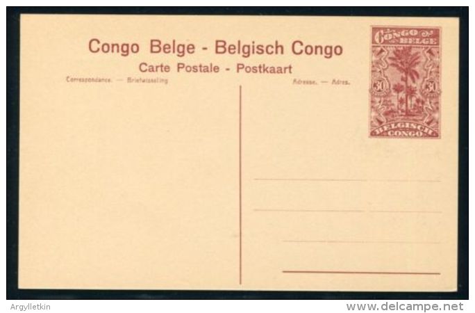 BELGIAN CONGO STATIONERY WATERFALL TSHOPO 1922 - Postcards 1909-1934