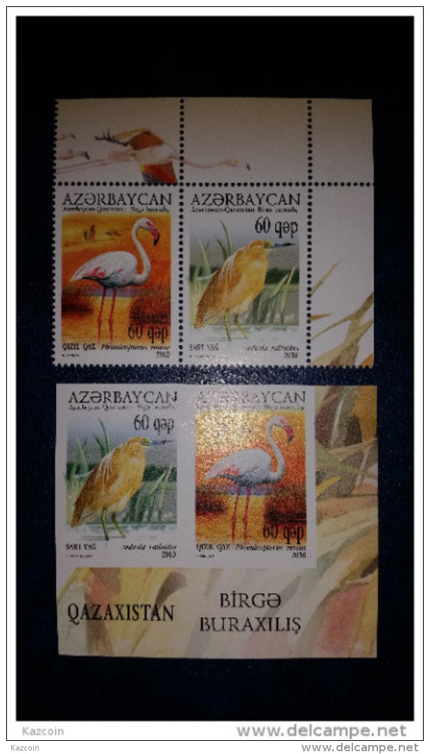 2010 Azerbaijan Birds - Joint With Kazakhstan - Rose Flamingo - Perforated And Imperforated Sets - Flamingo
