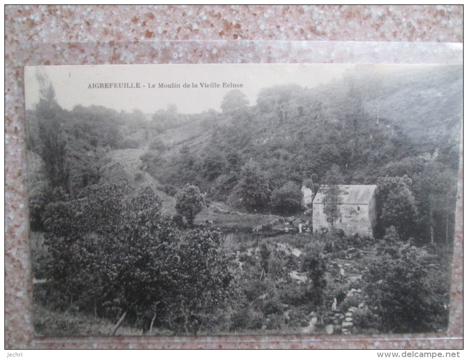 AIGREFEUILLE . LE MOULIN DE LA VIEILLE ECLUSE - Aigrefeuille-sur-Maine