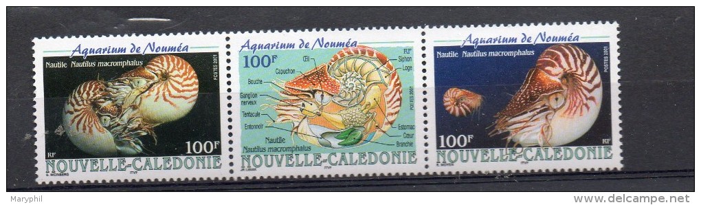 NOUVELLE CALEDONIE N° 840/842 ** - NAUTILE - Cote 8.40 € - Coquillages