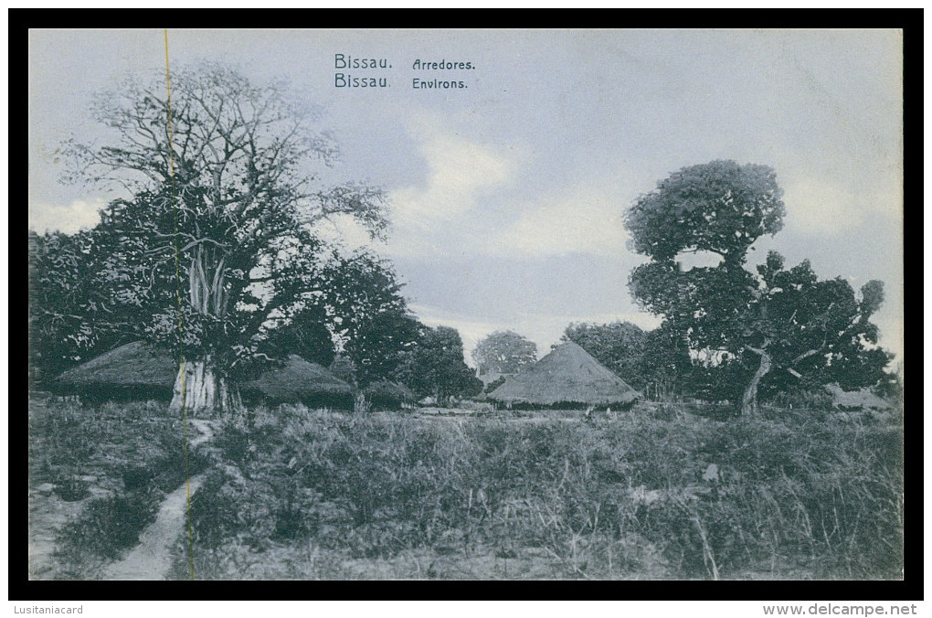 BISSAU - Arredores  Carte Postale - Guinea-Bissau