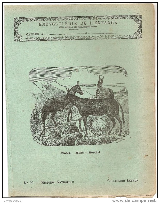 Couverture De Cahier D´écolier Des Années 1920 Série Histoire Naturelle N°50 Mulet Mule Bardot Collection Lebrun - Protège-cahiers