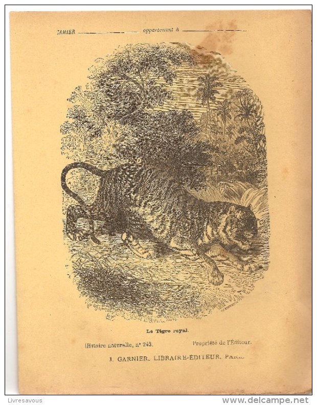 Couverture De Cahier D´écolier Des Années 1920 Série Histoire Naturelle N°243 Le Tigre Royal Ed; J. Garrier Paris - Protège-cahiers